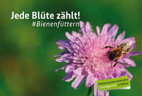 Jede Blüte zählt