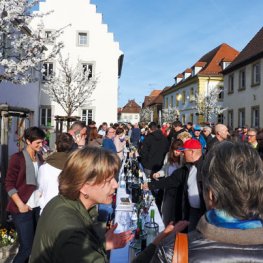 Jungweinprobe zur Mandelblüte